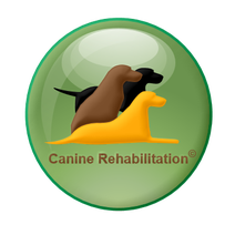 Canine Rehabilitation
